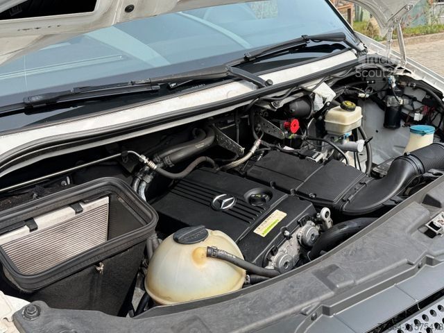 Mikroautobusas MERCEDES-BENZ Sprinter 316 NGT/CNG 9Sitze Klima Lift Automatik