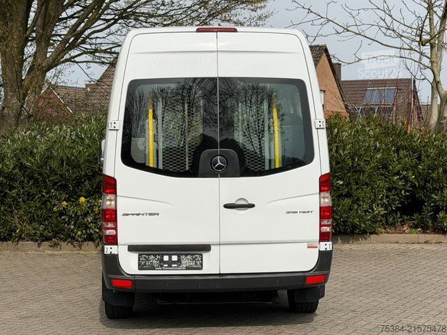 Mikroautobusas MERCEDES-BENZ Sprinter 316 NGT/CNG 9Sitze Klima Lift Automatik
