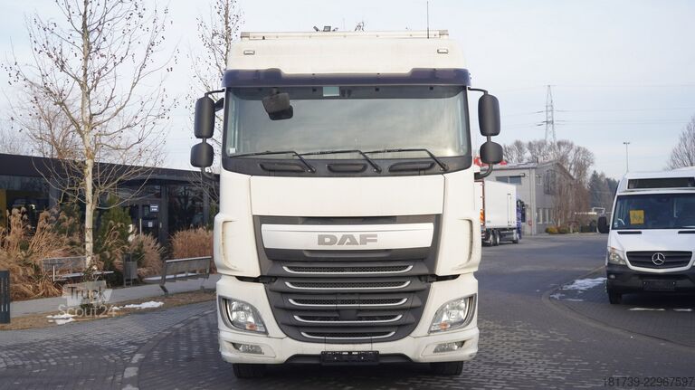 حاوية DAF XF 410 EURO 6 /410 HP / 20 EPAL / lift