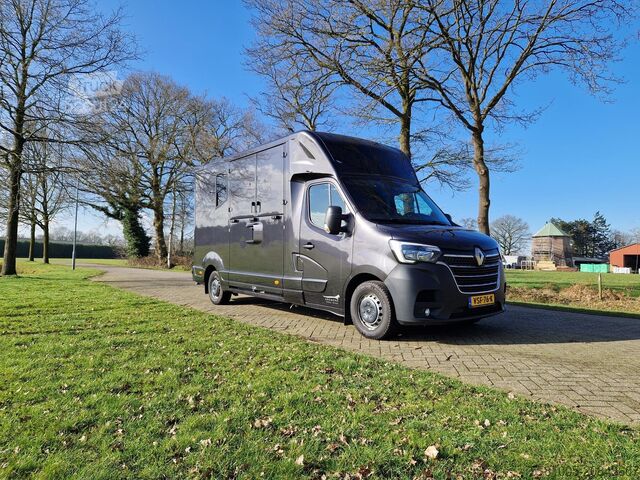 Transporte de caballos Renault Master MTM S3 automaat paardenwagen Pro-safety ...