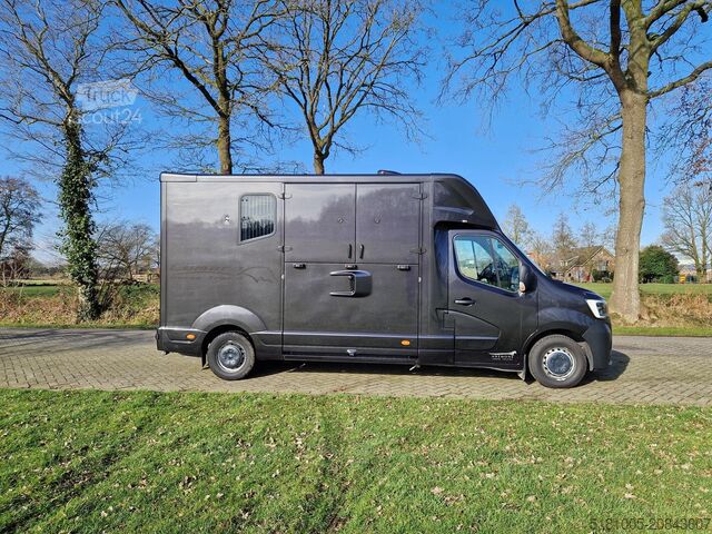 Transporte de caballos Renault Master MTM S3 automaat paardenwagen Pro-safety ...