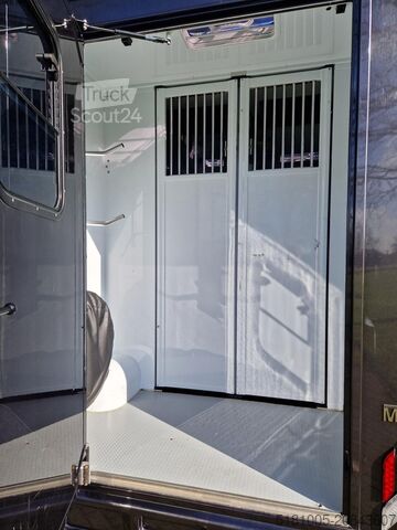 Transporte de caballos Renault Master MTM S3 automaat paardenwagen Pro-safety ...