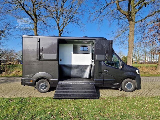 Transporte de caballos Renault Master MTM S3 automaat paardenwagen Pro-safety ...