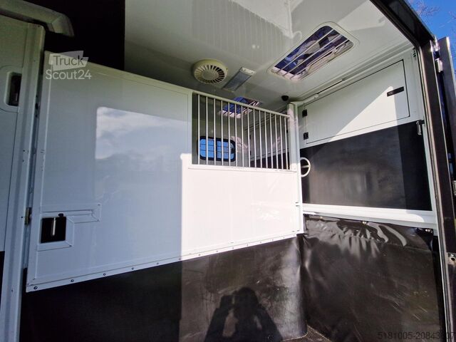 Transporte de caballos Renault Master MTM S3 automaat paardenwagen Pro-safety ...