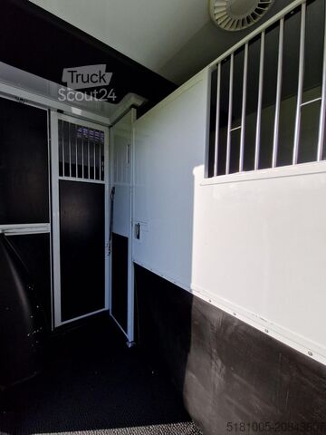 Transporte de caballos Renault Master MTM S3 automaat paardenwagen Pro-safety ...