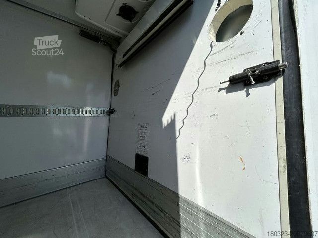 Furgone isotermico frigorifero IVECO 65C15