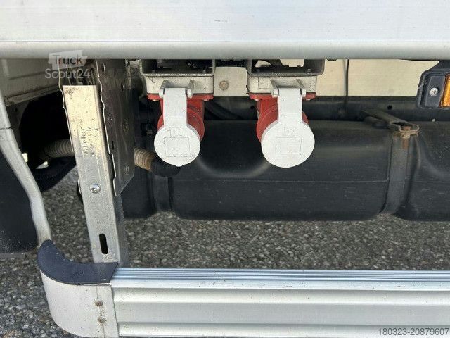 Furgone isotermico frigorifero IVECO 65C15