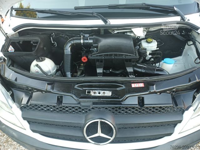 Fourgon pick-up MERCEDES-BENZ 513 CDI Sprinter 313 Maxi Pritsche AHK 3,5 t