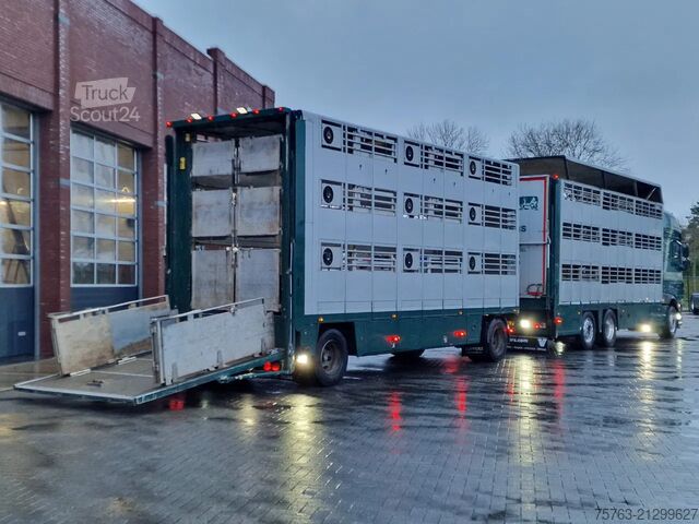 Transporte de ganado DAF XF 440 SuperSpaceCab 6x2*4 - Cuppers 1-2-3 deck...