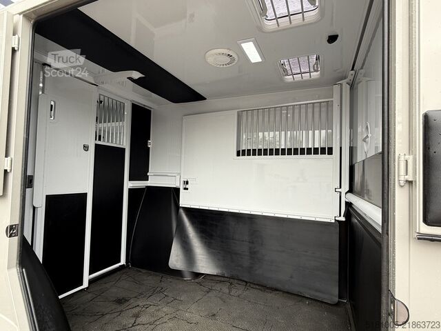 Paarden transport Renault Master MTM S5L Renault Master Automaat ZF 9 ver...