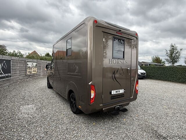 Trasporto di cavalli Renault Master | HORSETRUCK | STX | STALLION 3XL | 2020...