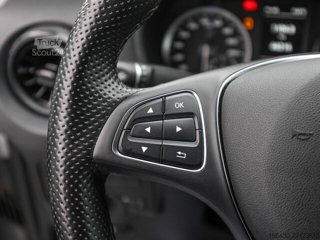 Kastenwagen Mercedes-Benz Vito 116 CDI Kasten Extralang Holz Kamera DAB