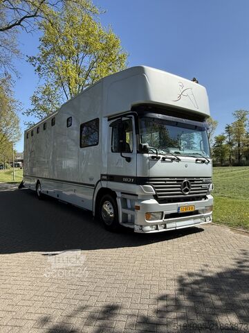 Перевозка лошадей Mercedes Actros