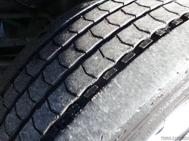 Valiză Volvo FL 210