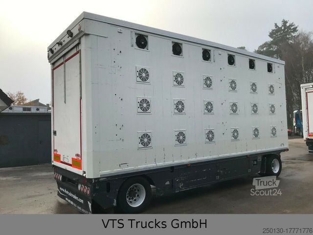 Przyczepa do transportu koni Finkl VA 220 4 Stock Viehanhänger