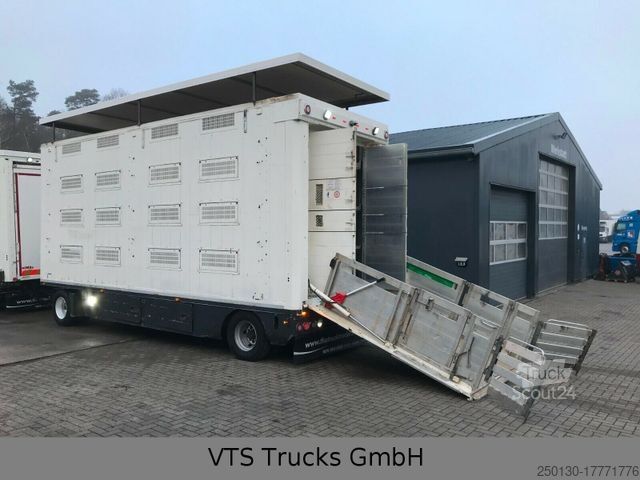 Przyczepa do transportu koni Finkl VA 220 4 Stock Viehanhänger