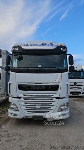 Tractor estándar DAF XF 480