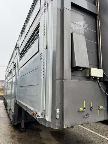 ημιρυμουλκούμενο μεταφοράς ζώων Pezzaioli SBA31