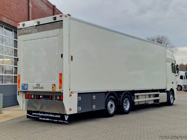 Liellopu pārvadāšana DAF XF 440 SuperSpaceCab 6x2*4 - 2 deck Closed Live...