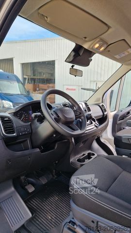 Minibus FIAT Fiat Ducato 9 Sitzer Systemboden Rolli Stock