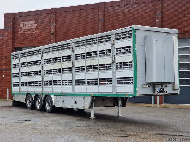Cattle transport Pezzaioli 4 deck - Water & Ventilation - Lifting floors -...