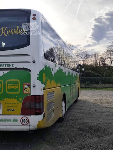 Coach MAN Lions City