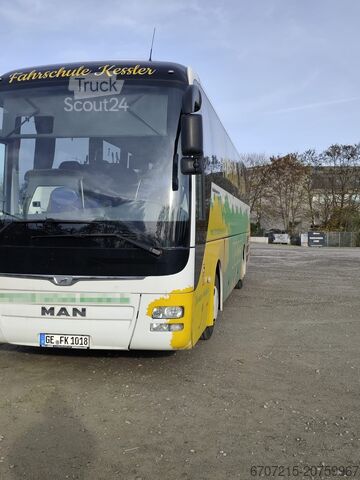 Coach MAN Lions City