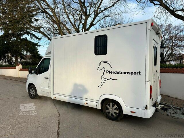 Hayvan taşıyıcı Renault Master Haras 1-2 Pferde