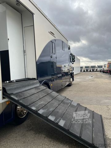 Cattle truck MERCEDES-BENZ 2541 L 6x2 Actros 4 Pferde 2 Wohnungen Popout JL