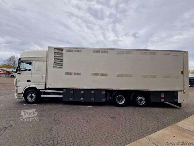 Transporte de ganado DAF XF 440 SuperSpaceCab 6x2*4 - 2 deck Closed Live...
