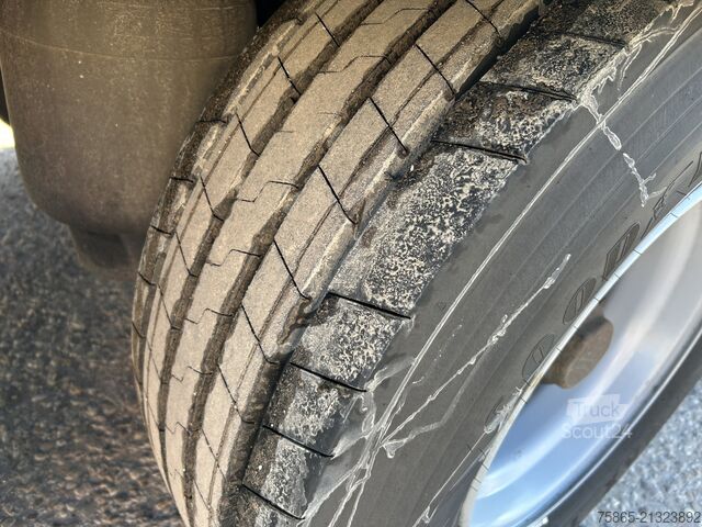 Trasporto refrigerato/congelato SOR Iberica SP71 / Carrier Vector 1850 / Frigo Box / Loadli...