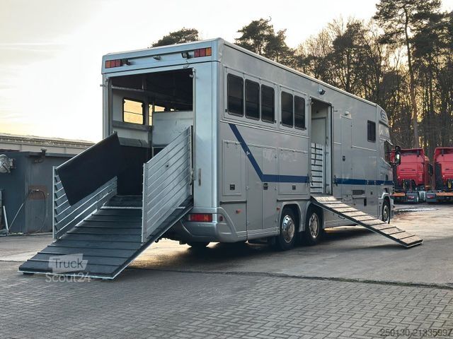 Camion pour bétail SCANIA R380 6x2 LL 7 Pferde + Bad/ TV/ WC/ Küche