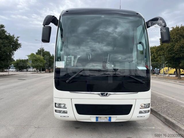 Treneris MAN Lion's Coach