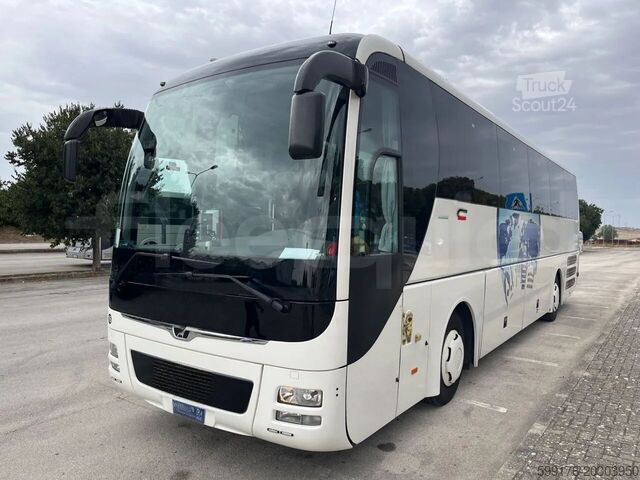 Treneris MAN Lion's Coach