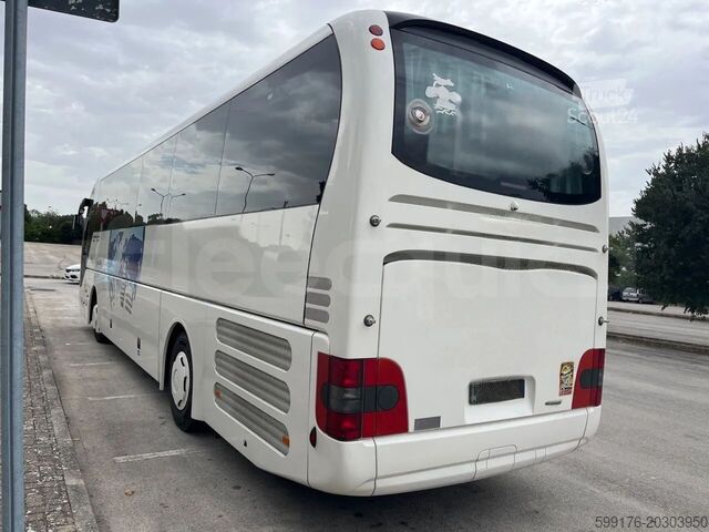 Treneris MAN Lion's Coach