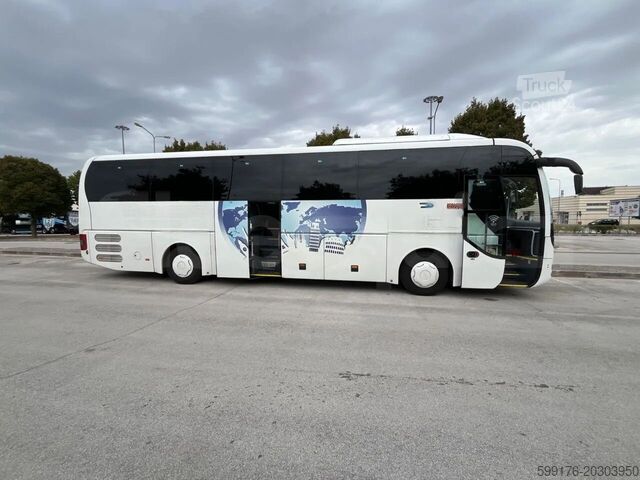 Treneris MAN Lion's Coach
